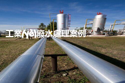 工業(yè)廢水處理案例：揭秘高效凈化背后的技術(shù)奇觀！